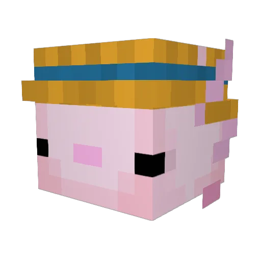 PontasSs Minecraft avatar head, 3D render