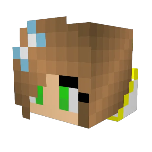 Pontus99 Minecraft avatar head, 3D render