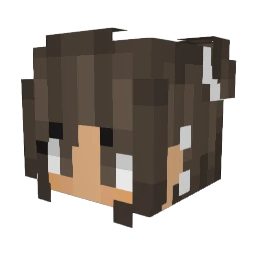 PonyRanch Minecraft avatar head, 3D render