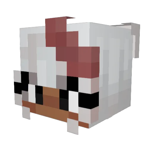 Ponyo_fishy Minecraft avatar head, 3D render