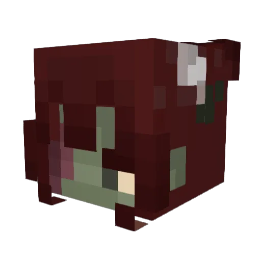 Ponyrider2008 Minecraft avatar head, 3D render