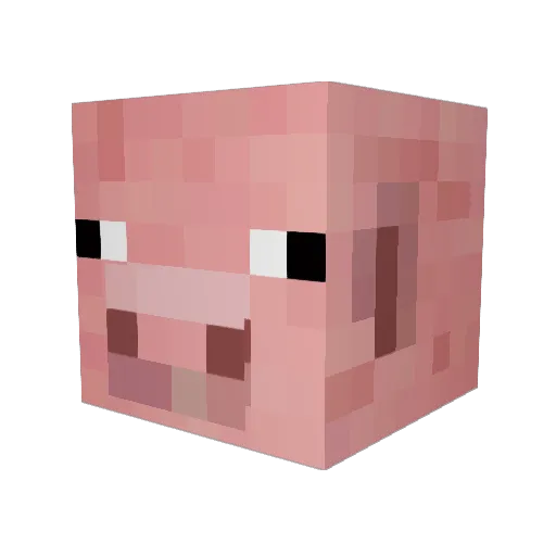 PooPiggy Minecraft avatar head, 3D render