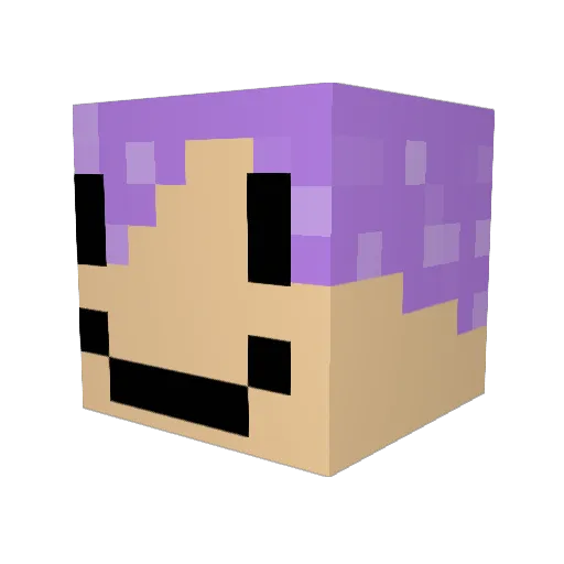 PooPooPickle30 Minecraft avatar head, 3D render