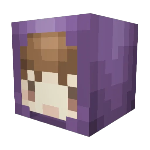 Poo_Zle Minecraft avatar head, 3D render
