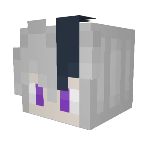 Poobastank299 Minecraft avatar head, 3D render