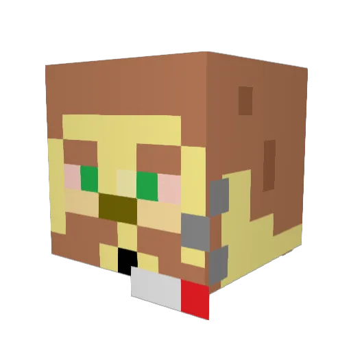 PoochDoobie Minecraft avatar head, 3D render