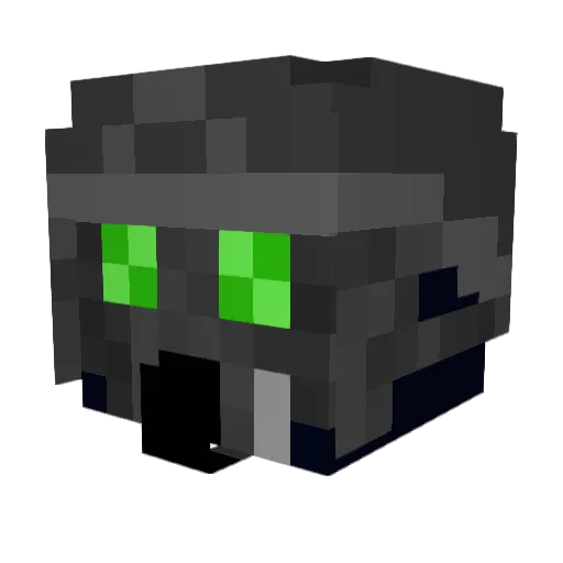 Poochy3001 Minecraft avatar head, 3D render