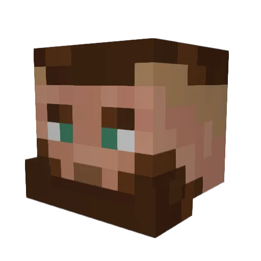 Poodiepi3 Minecraft avatar head, 3D render