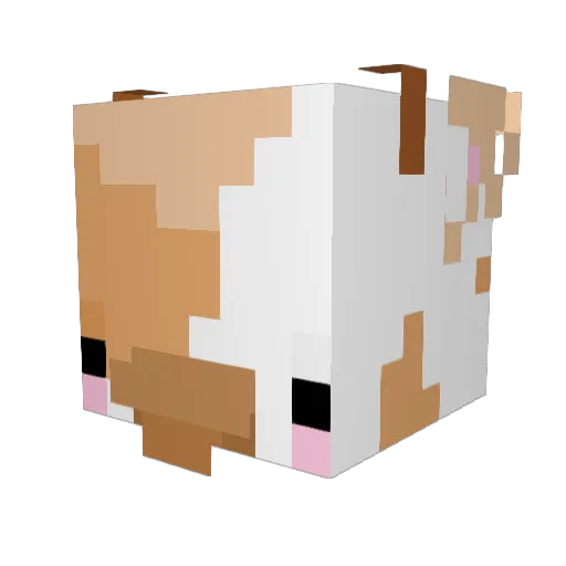PoodleDoodleDoo Minecraft avatar head, 3D render