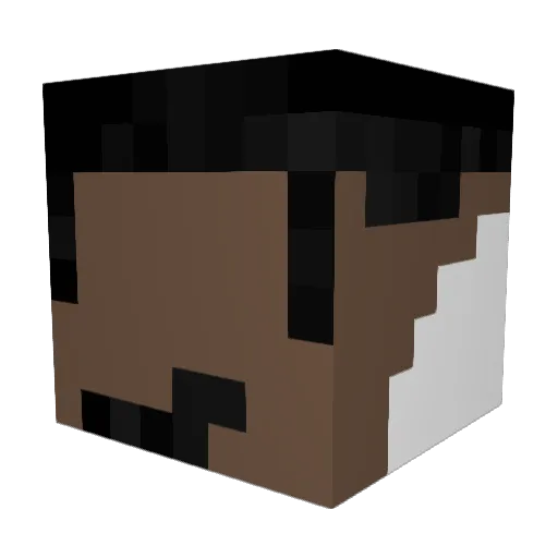 Poodman123 Minecraft avatar head, 3D render