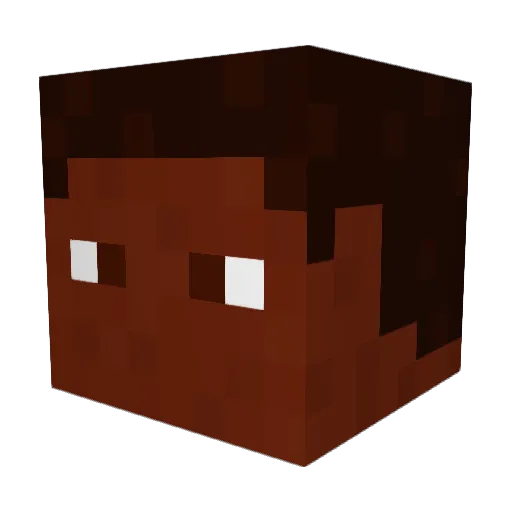 Poodonn Minecraft avatar head, 3D render