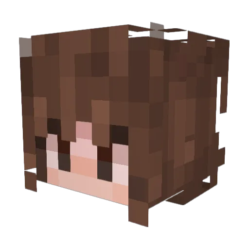 PoofBoie Minecraft avatar head, 3D render