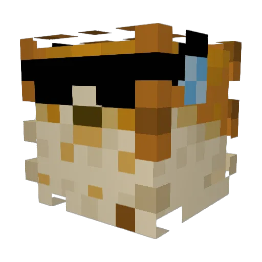 PooferNiqht Minecraft avatar head, 3D render