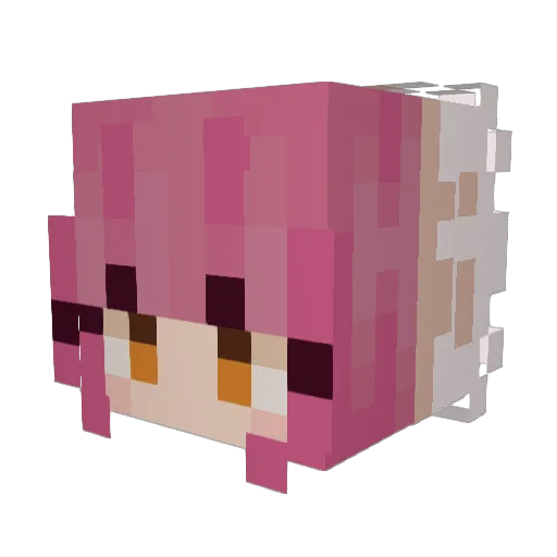Poofers404 Minecraft avatar head, 3D render