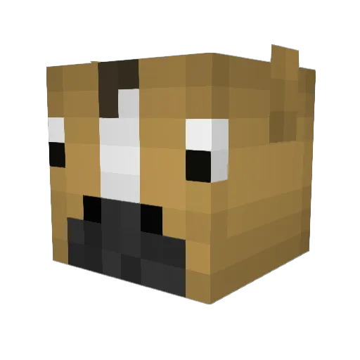 PoofersKloc Minecraft avatar head, 3D render