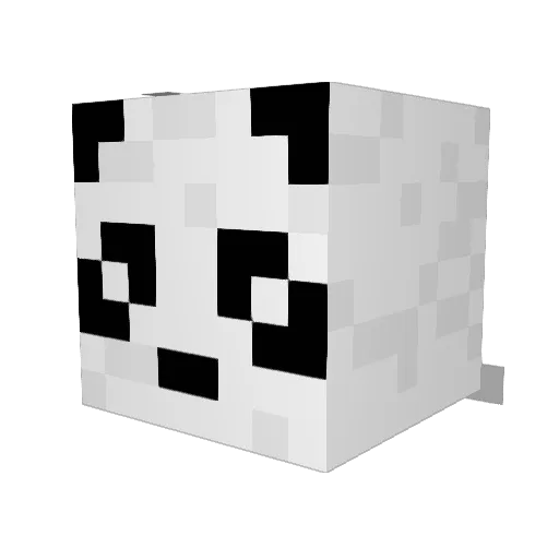 PooffyPanda99 Minecraft avatar head, 3D render