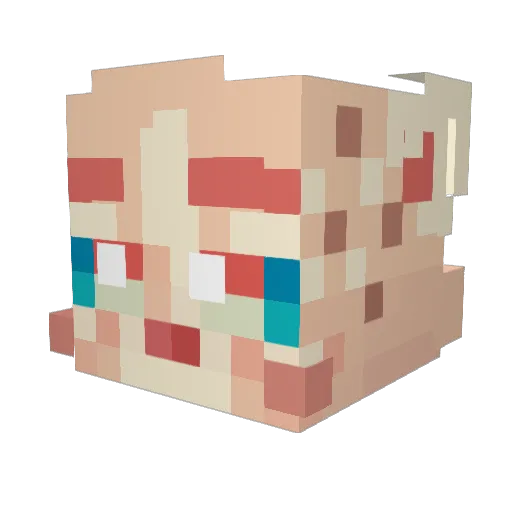 PoofyChick Minecraft avatar head, 3D render