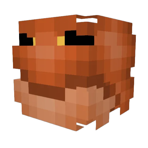 Poogertina Minecraft avatar head, 3D render
