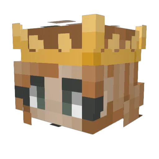 PoohBear2603 Minecraft avatar head, 3D render