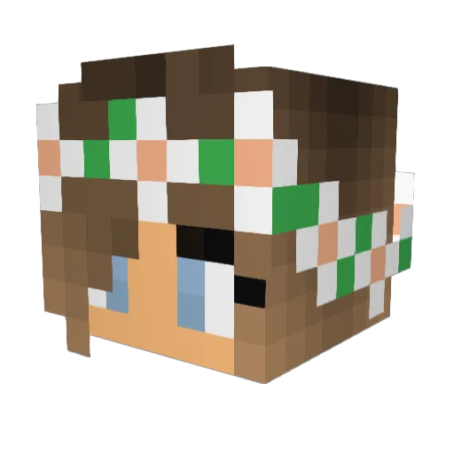 Poohbearox123 Minecraft avatar head, 3D render