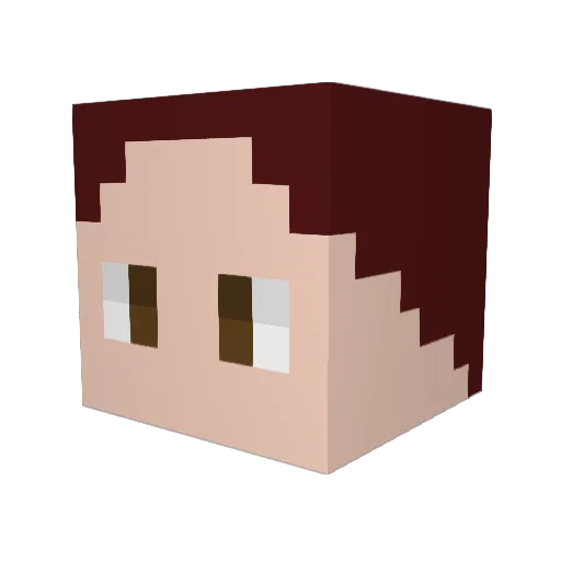 Pooja_Calm_Down Minecraft avatar head, 3D render
