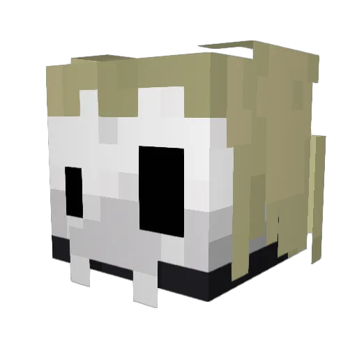 Poojue Minecraft avatar head, 3D render