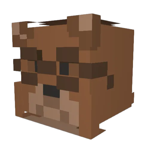 PookBear12 Minecraft avatar head, 3D render