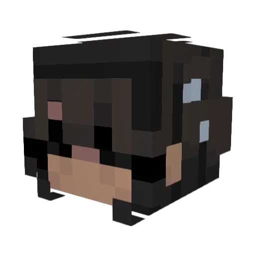 PookMe Minecraft avatar head, 3D render