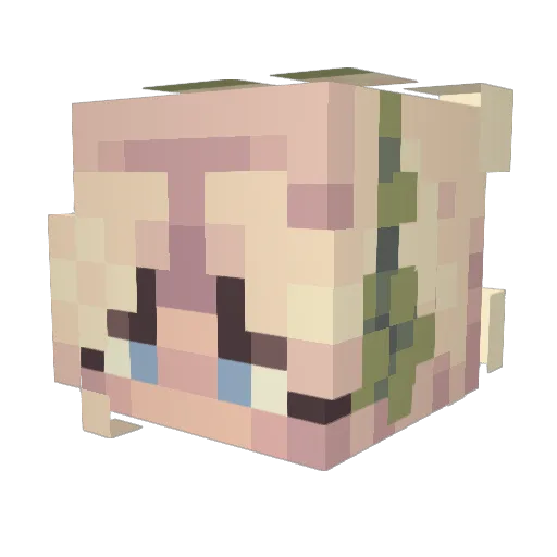 Pooka_Soccer Minecraft avatar head, 3D render