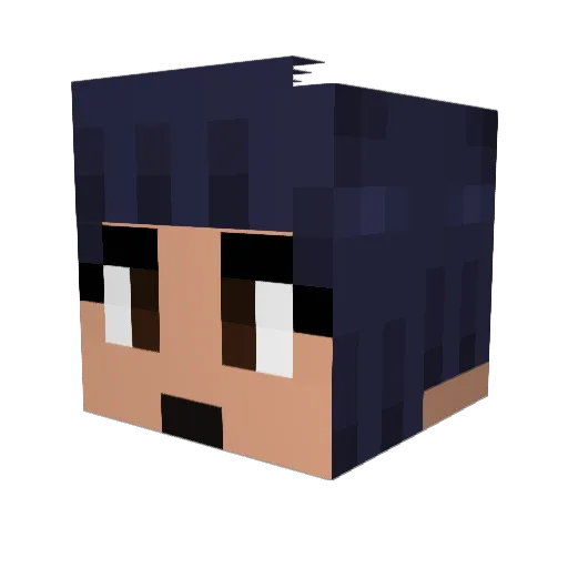 Pookaroonie Minecraft avatar head, 3D render