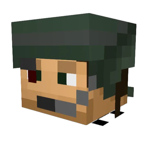 PookeXVI Minecraft avatar head, 3D render