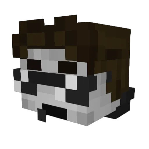 Pooki23 Minecraft avatar head, 3D render