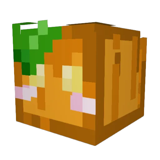 Pookie0519 Minecraft avatar head, 3D render