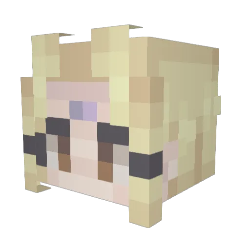 Pookie0 Minecraft avatar head, 3D render