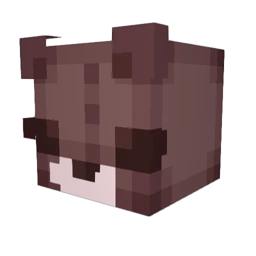 Pookie278 Minecraft avatar head, 3D render