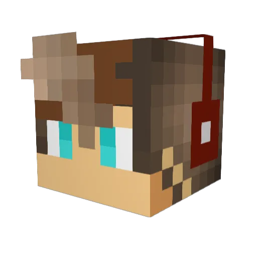Pookie41576 Minecraft avatar head, 3D render
