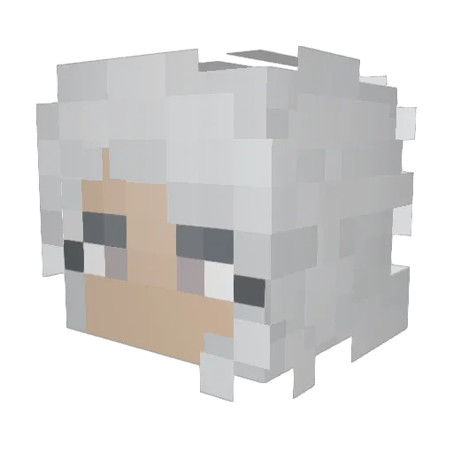 Pookie666 Minecraft avatar head, 3D render