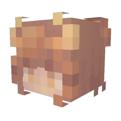 PookieBear1995 Minecraft avatar head, 3D render