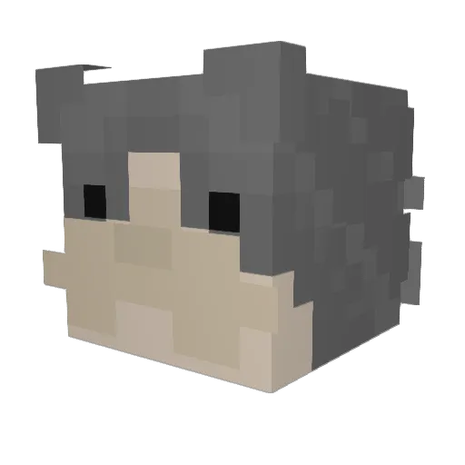 PookieMaxxer Minecraft avatar head, 3D render