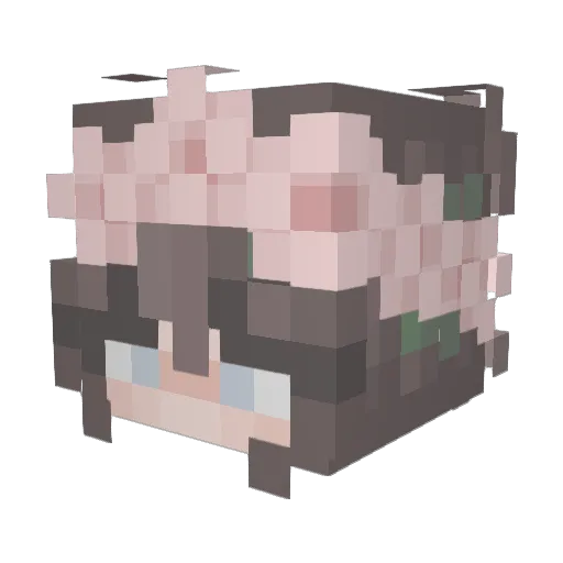 PookiePoh Minecraft avatar head, 3D render