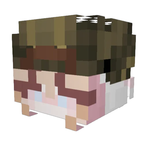 Pookiemonm Minecraft avatar head, 3D render