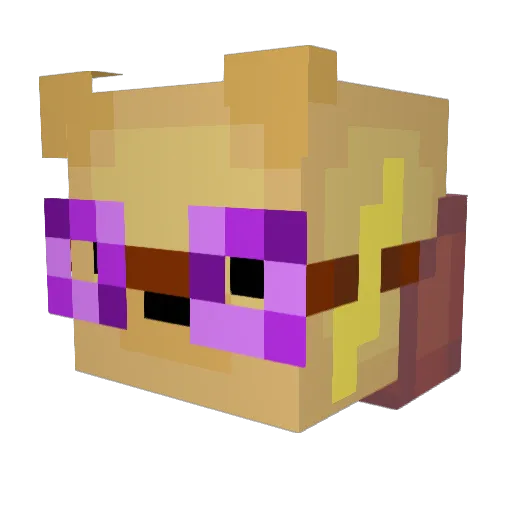 Pooks221 Minecraft avatar head, 3D render