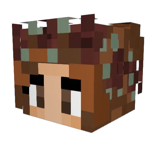 Pooksw Minecraft avatar head, 3D render