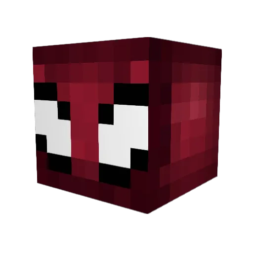 Pooky888 Minecraft avatar head, 3D render