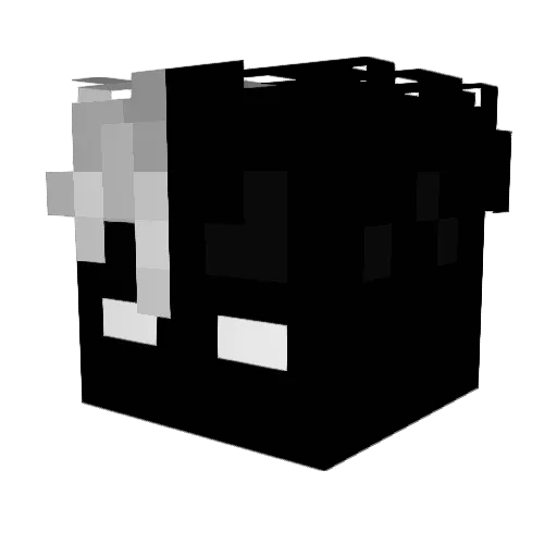 PookyBear7 Minecraft avatar head, 3D render