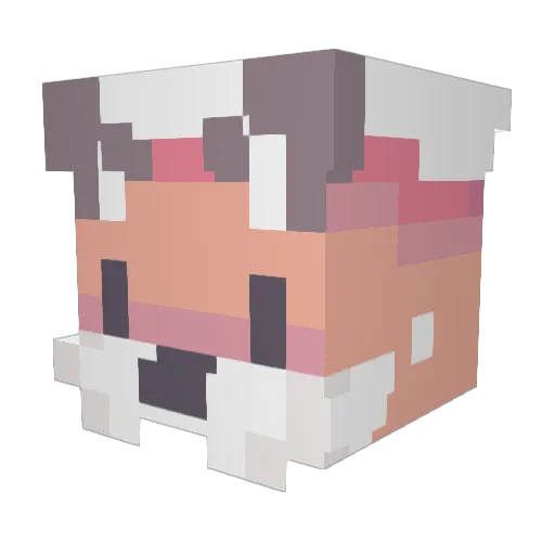 PookyMooki Minecraft avatar head, 3D render