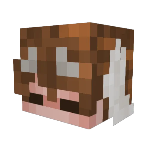 PoolDud Minecraft avatar head, 3D render