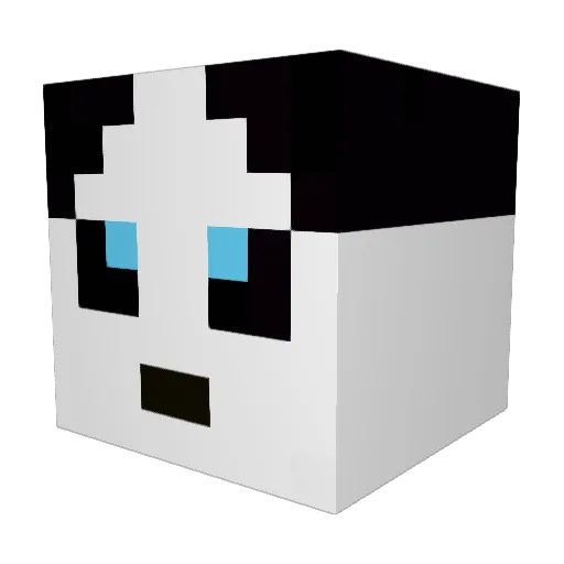 PoolPuddles Minecraft avatar head, 3D render