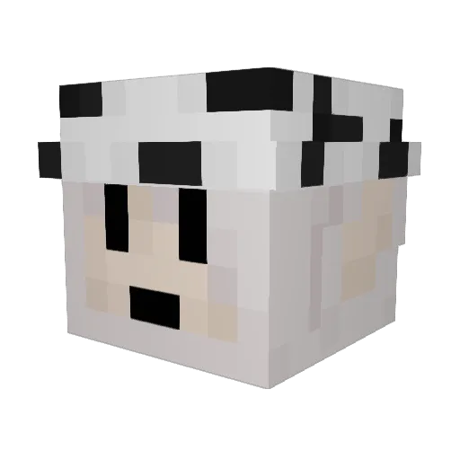 Pool_The_King Minecraft avatar head, 3D render