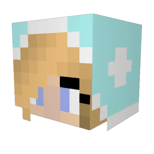 Poolarna Minecraft avatar head, 3D render